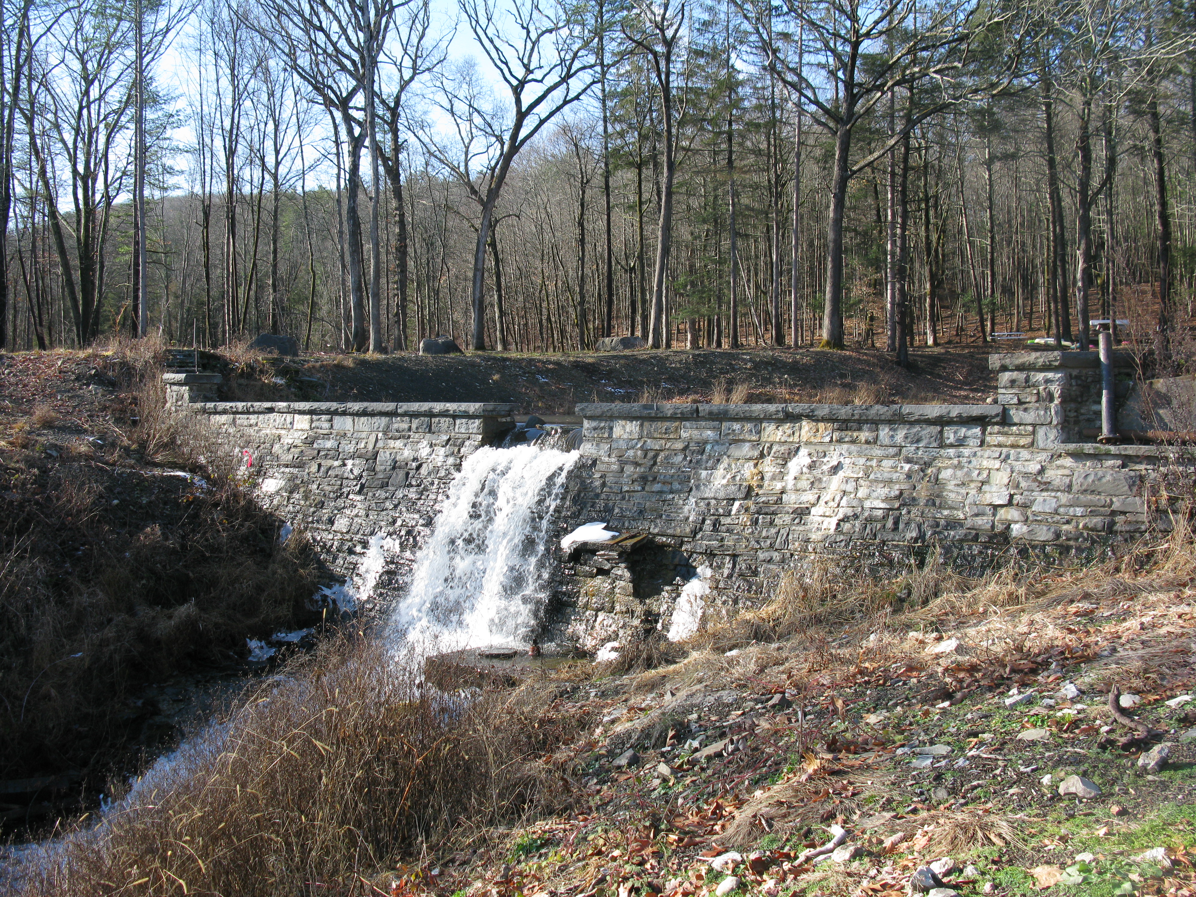 An image showing the Winston Farm Dam