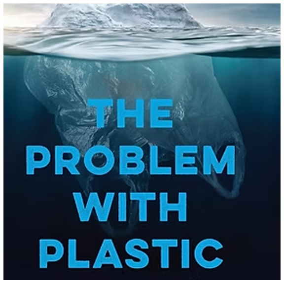 Turtle Talk copy.webp