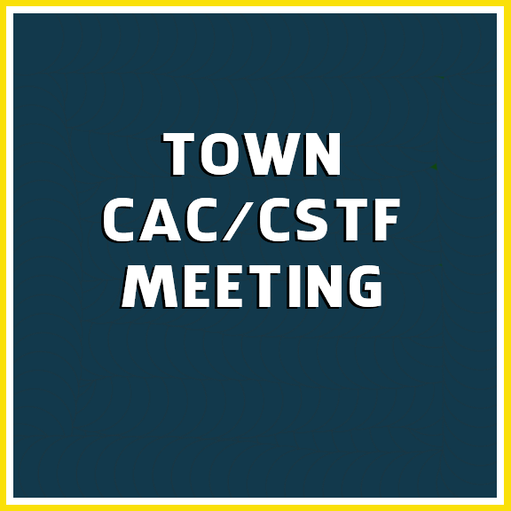 Town CAC CSTF Meeting copy.webp