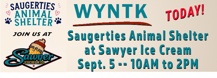 WYNTK - Animal Shelter at Sawyer Ice Cream copy.webp