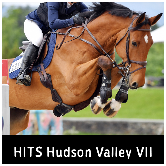 HITS Hudson Valley VII copy.webp