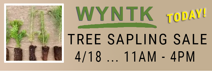 WYNTK - Tree Sapling Sale TODAY copy.webp
