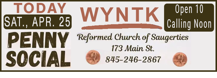 WYNTK - Reformed Penny Social copy.webp