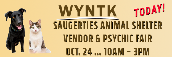 Shelter Vendor and Psychic Fair TDAY.webp