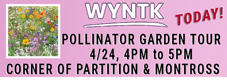 WYNTK - Pollinator Garden Tour copy.webp