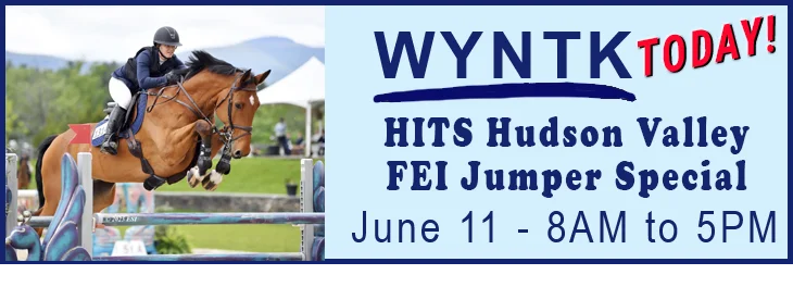 WYNTK - HITS FEI Jumper Special copy.webp