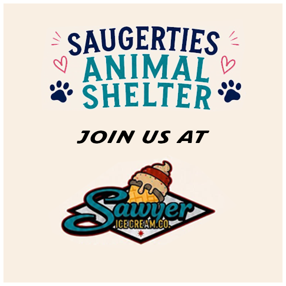Animal Shelter at Sawyer Ice Cream copy.webp