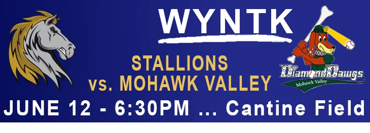 WYNTK - Stallions Home Game NOT TODAY.webp