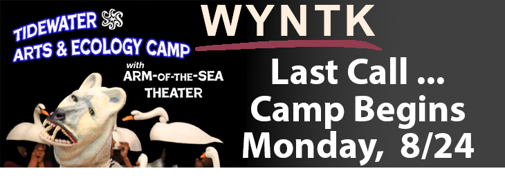 WYNTK -AOTS Arts and Ecology Camp copy.webp