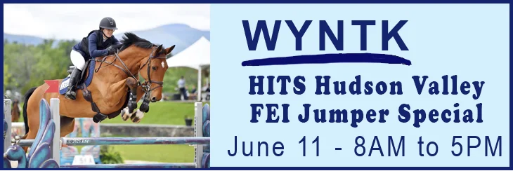 WYNTK - HITS FEI Jumper Special copy.webp