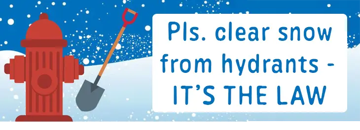 WYNTK - Clearning Snow Law copy.webp