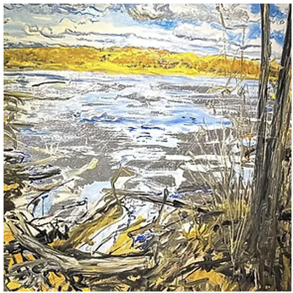 Shout Out Installation copy.webp