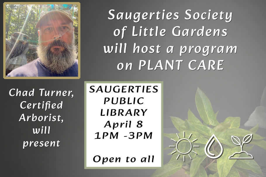Society of Little Gardens - Plant Care copy.webp