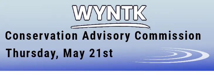 WYNTK - Town Planning Board Meeting copy.webp