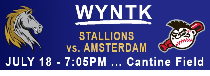 WYNTK - Stallions Home Game Amsterdam copy.webp