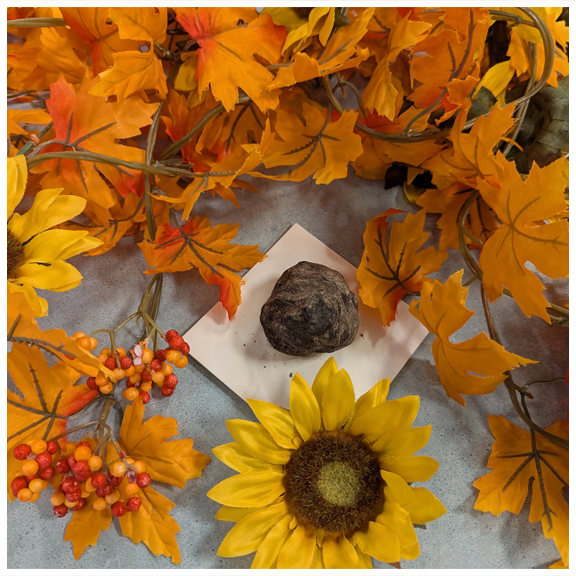 Earth Day Craft copy.webp