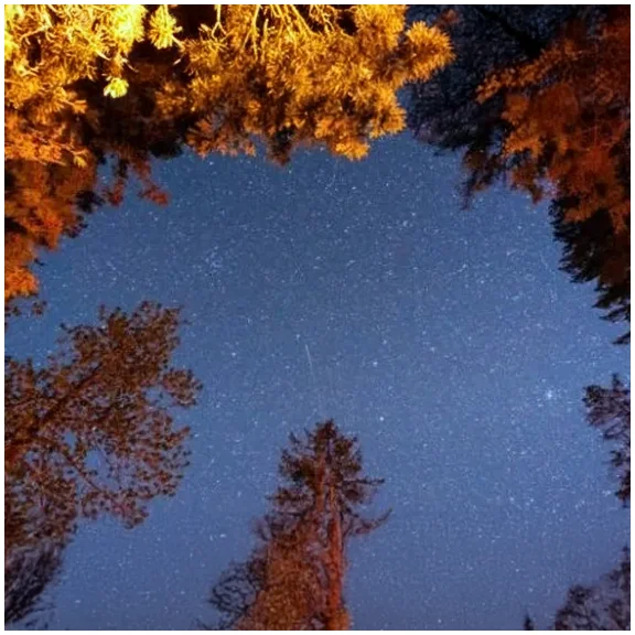 Stargazing copy.webp