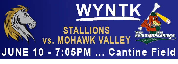 WYNTK - Stallions Home Game NOT TODAY.webp