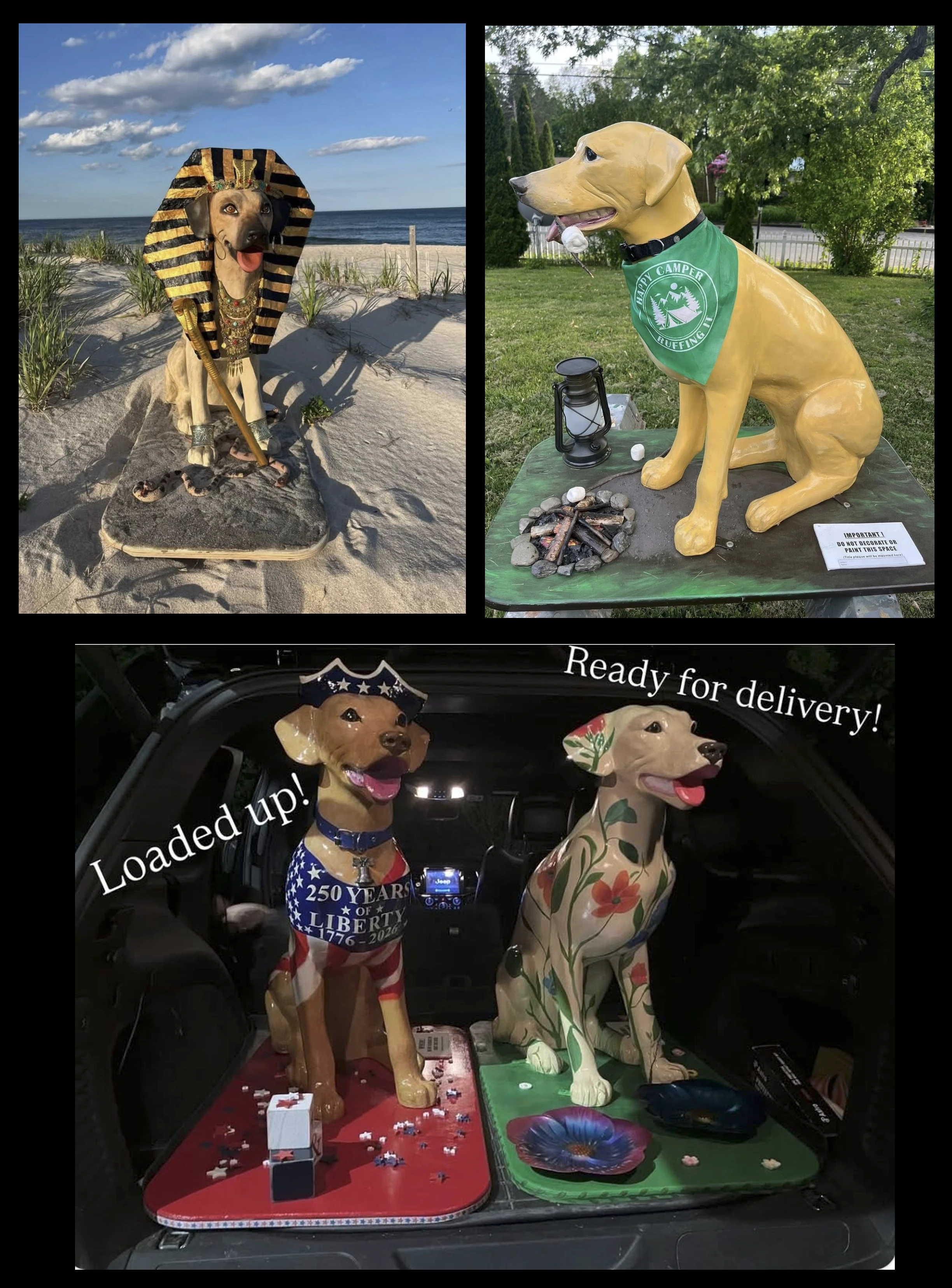 4 Dogs - Preview copy.webp