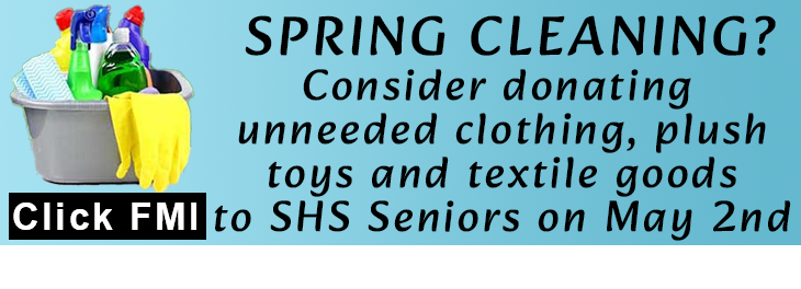 WYNTK - Spring Cleaning copy.webp