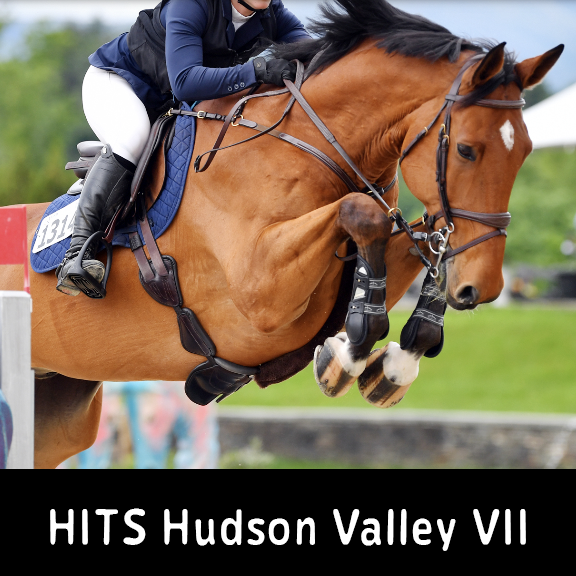 HITS Hudson Valley VIII copy.webp