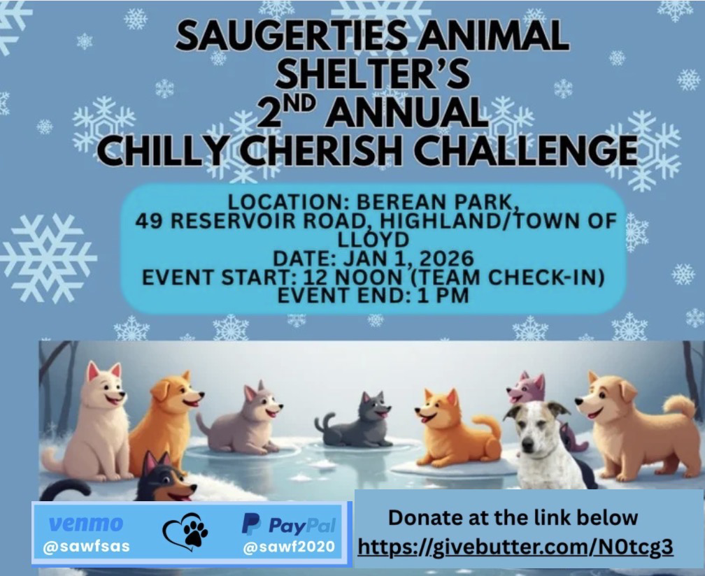 Chilly Cherish Challenge copy.webp