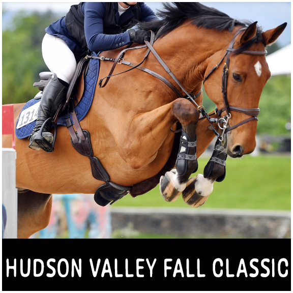 HITS Hudson Valley Fall Classic copy.webp