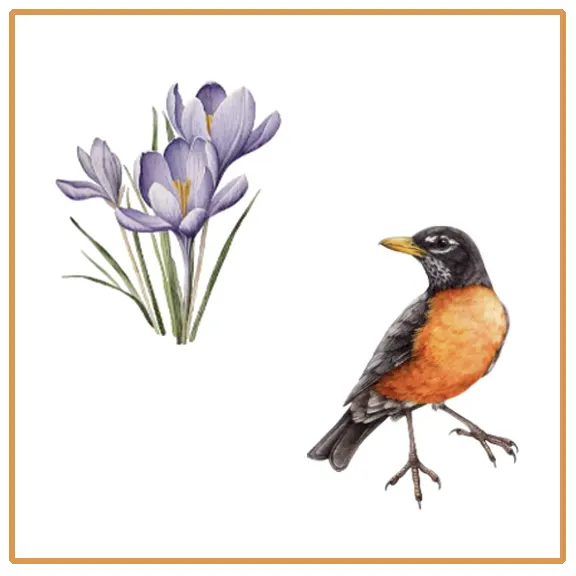 Signs of Spring copy.webp