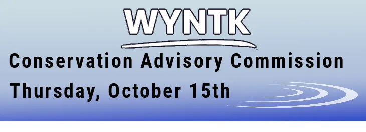 WYNTK - CAC copy.webp