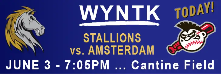 WYNTK - Stallions Home Game Amsterdam copy.webp