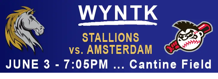 WYNTK - Stallions Home Game Amsterdam copy.webp