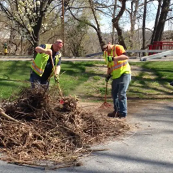 Spring Cleanup - Village copy.webp