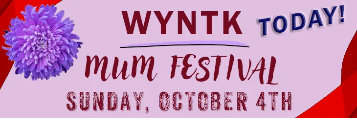 WYNTK - Mum Festival TODAY.webp