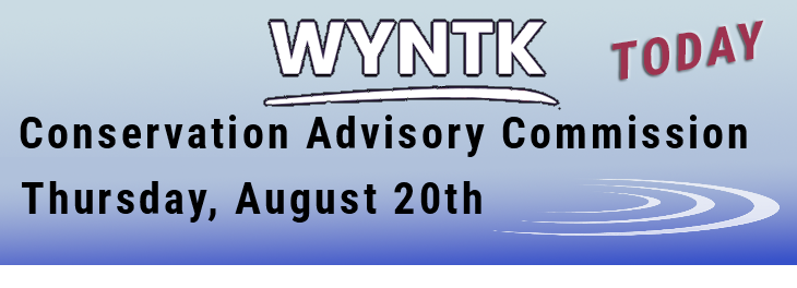 WYNTK - CAC TODAY.webp