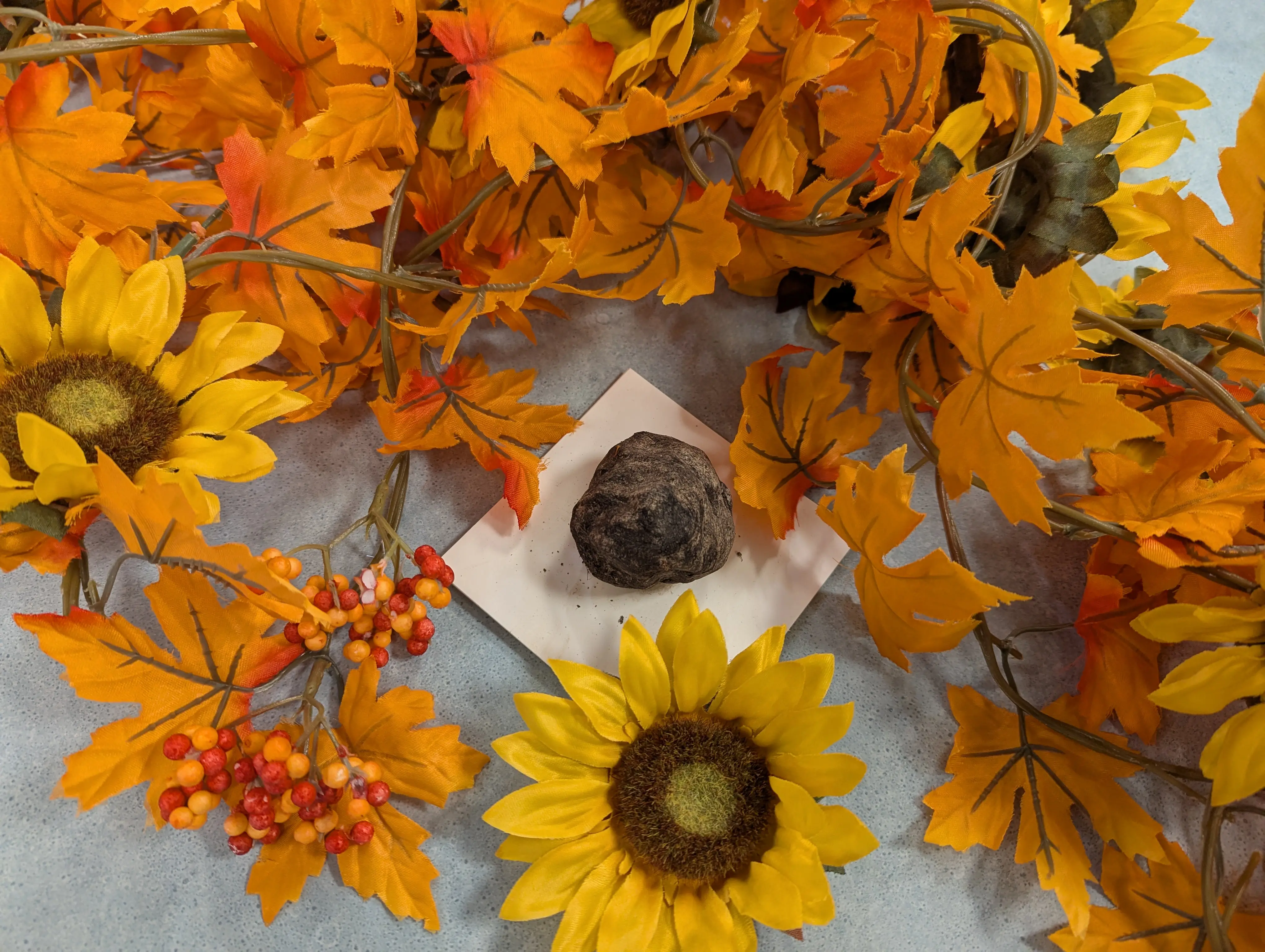 EarthDayCraft copy.webp