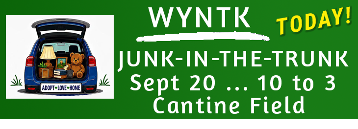 WYNTK - Junk in the Trunk TODAY.webp