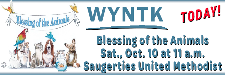 WYNTK - Blessing of the Animals TODAY.webp