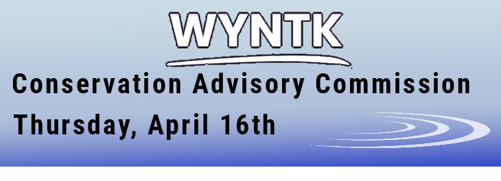 WYNTK - CAC copy.webp