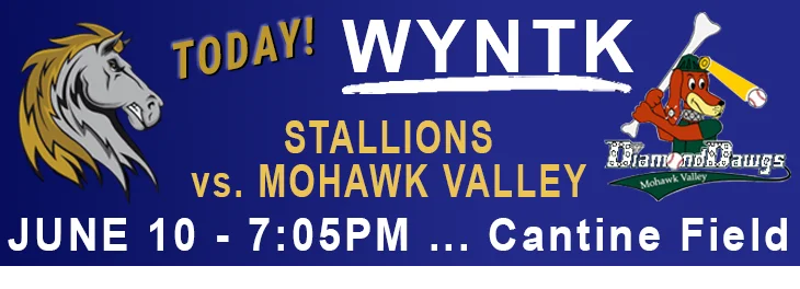 WYNTK - Stallions Home Game NOT TODAY.webp