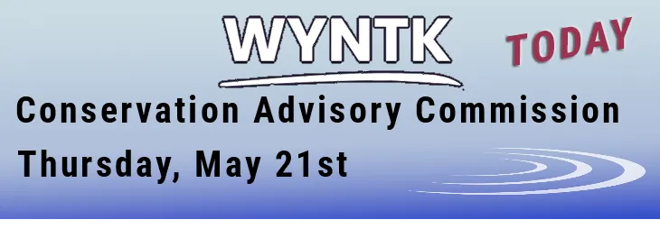WYNTK - Town Planning Board Meeting copy.webp