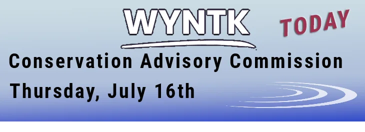 WYNTK - CAC TODAY.webp