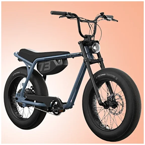 eBike copy.webp