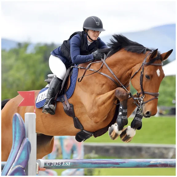 HITS FEI Jumper Special copy.webp