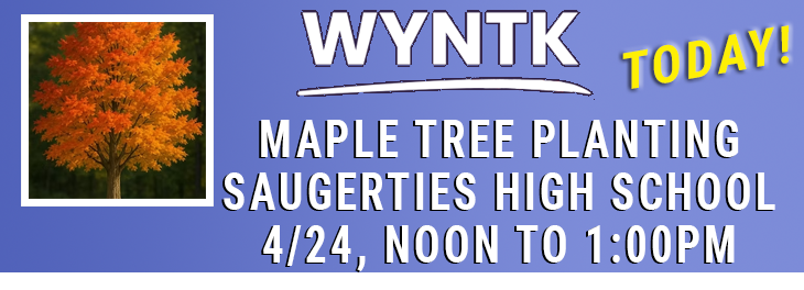 WYNTK - Maple Tree Planting copy.webp