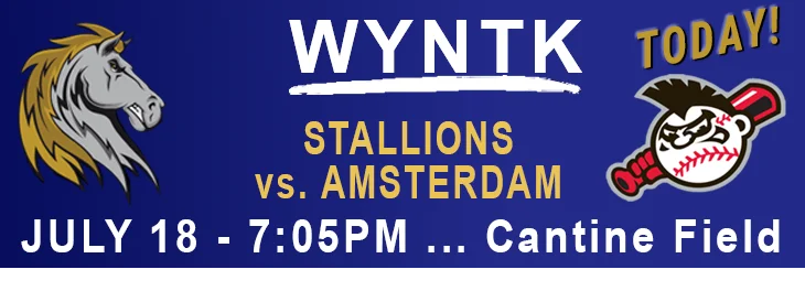 WYNTK - Stallions Home Game Amsterdam copy.webp