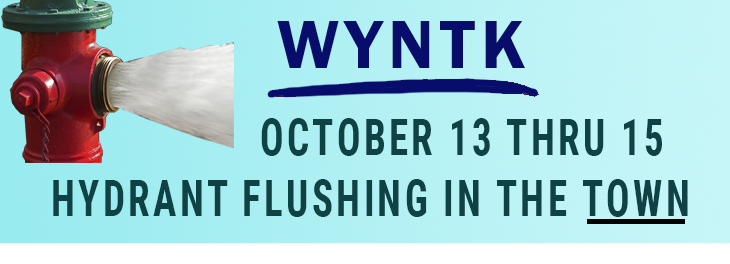 WYNTK - Hydrant Flushing Town copy.webp