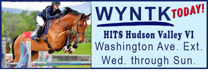 WYNTK - HITS HV VI copy.webp