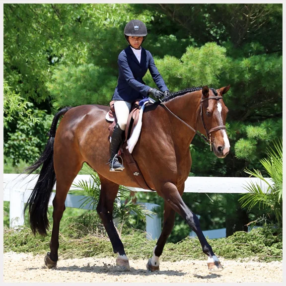 Equitation copy.webp