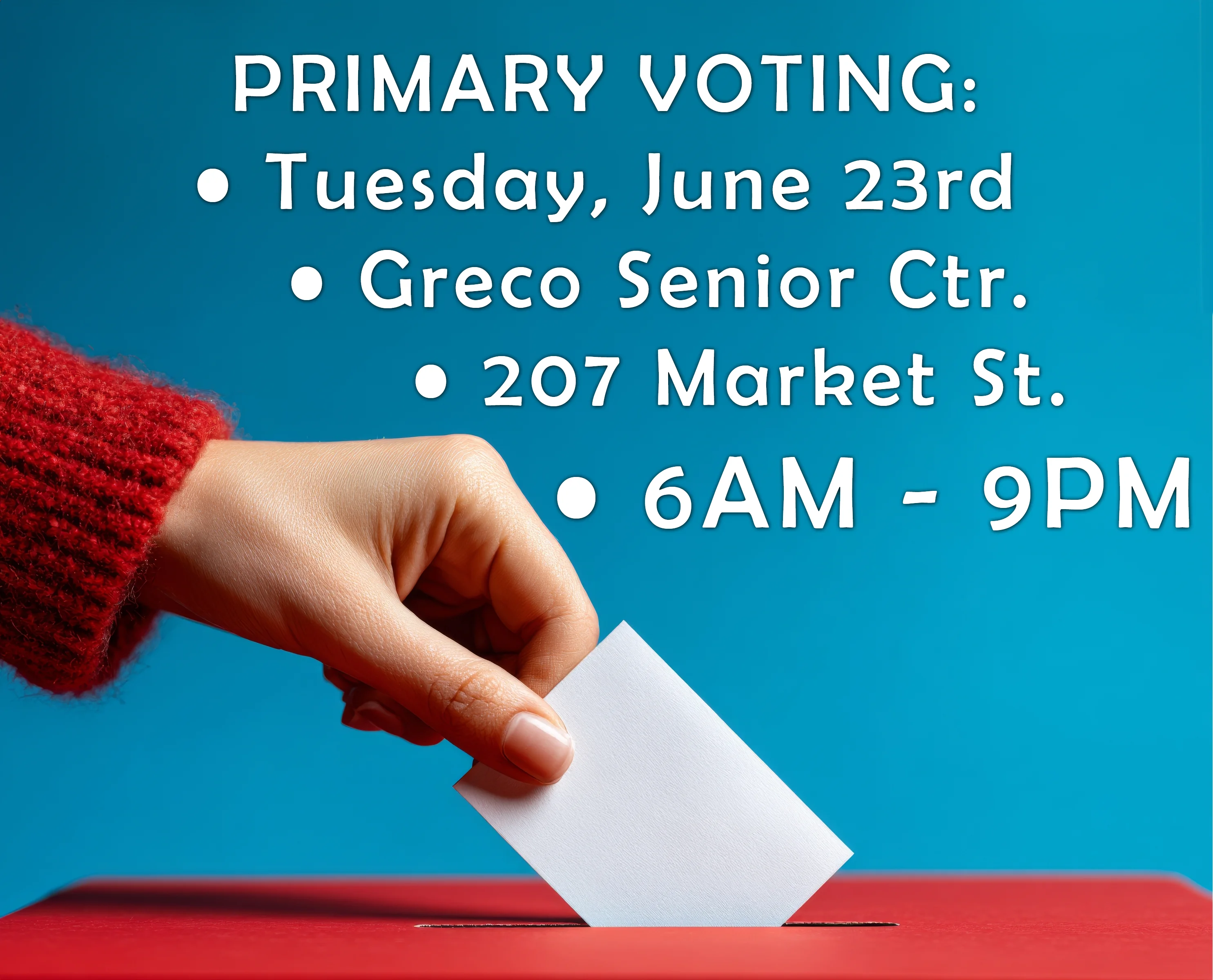 Primary Voting - June 2026 copy.webp