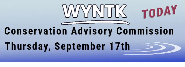 WYNTK - CAC TODAY.webp